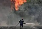 الأزهر يقدم التعازي للجزائر في ضحايا حرائق الغابات ويدعو لرفع الكارثة عن الشعب الجزائري الشقيق