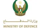 القوات الإماراتية تحبط مسيرة إيرانية في المياه الإقليمية