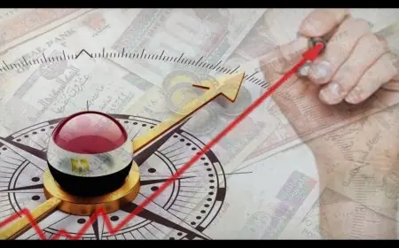 اكتشف أبرز ما جاء في المؤتمر السابع للمصريين بالخارج: 5 ملفات هامة للنقاش