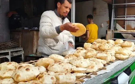 كل ما تحتاج معرفته عن تفاصيل تطبيق منظومة الخبز الجديدة بنظام الخصم المباشر بعد ساعات من بدء التنفيذ