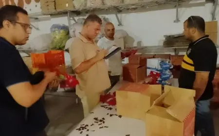 ضبط 18400 قطعة حلوى و650 كيلوجرام من مستلزمات الإنتاج في القليوبية