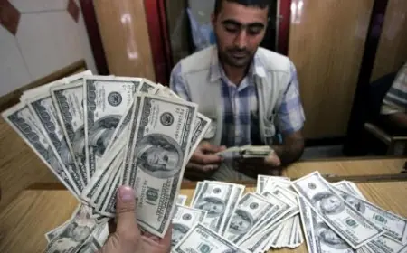 تراجع سعر الدولار أمام الجنيه بنحو 22 قرشًا في منتصف التعاملات اليومية