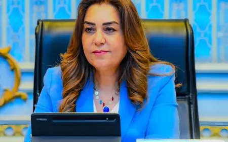 وزيرة التنمية المحلية تراقب تحسين تراخيص المحال العامة على منصة مصر الرقمية