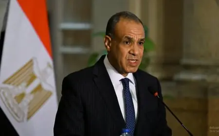 إشادة وزير الخارجية باهتمام الرئيس السيسي بشؤون المصريين في الخارج