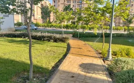 وزيرة الإسكان تشرف على تحسين الخدمات وتطوير مدن العبور والشروق وبدر