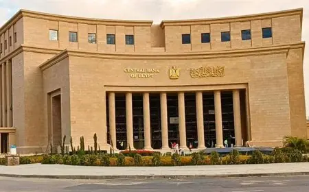 البنك المركزي يعلن عن مبادرة جديدة لتحديث البيانات للمصريين في الخارج اكتشف التفاصيل كاملة