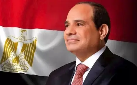 الرئيس السيسي يؤكد على أهمية الإسراع في استكمال مشروعات النقل الجماعي الصديقة للبيئة