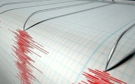 زلزال اليوم يدفع الرعاية الصحية لتعزيز جاهزية المستشفيات لمواجهة الطوارئ