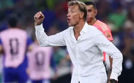هيرفي رينارد في طريقه للعودة لقيادة منتخب كوت ديفوار