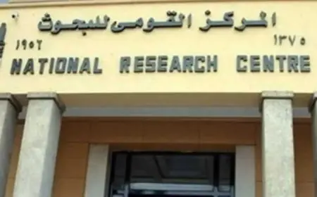 نصائح البحوث الفلكية: كيف تحمي نفسك إذا وقع زلزال وأنت في العمل تحت المكتب مباشرة