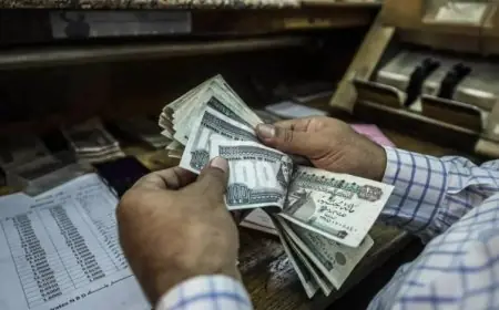 انتهاء معالجة 42 ألف طلب للمعاشات المتراكمة توسط التأمينات الاجتماعية