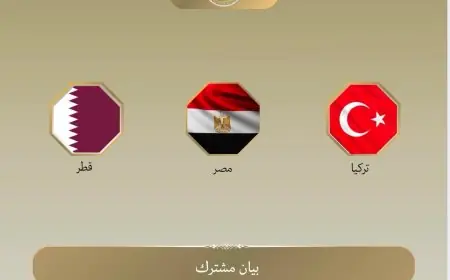 مصر وقطر وتركيا تدعو العالم للضغط على إسرائيل لوقف الانتهاكات في غزة