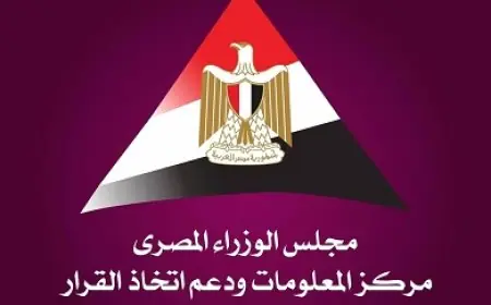 قيمة متحصلات النقد الأجنبي من خدمات النقل في مصر تصل إلى 9.4 مليارات دولار في عام 2024 و2025