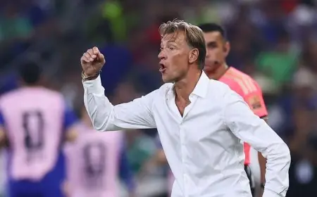هيرفي رينارد يتولى تدريب كوت ديفوار مجدداً بعد خيبة أمل تونس في المونديال