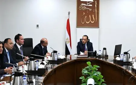 رئيس الوزراء يناقش استراتيجيات صندوق مصر السيادي لتعظيم العائدات من أصول الدولة