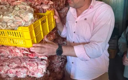 ضبط 3.75 طن من الدواجن الفاسدة قبل طرحها بالأسواق في الغربية لحماية صحة المواطنين بشكل فعال