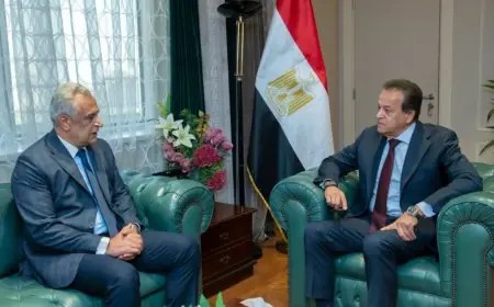 وزيرا خارجية مصر وتونس يشددان على تعزيز التعاون الاقتصادي والتجاري بين البلدين