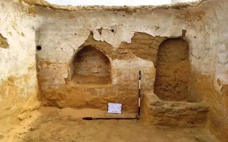 المنصة الوطنية للسياحة الصحية تقدم خدمات شاملة للسياح في المملكة العربية السعودية