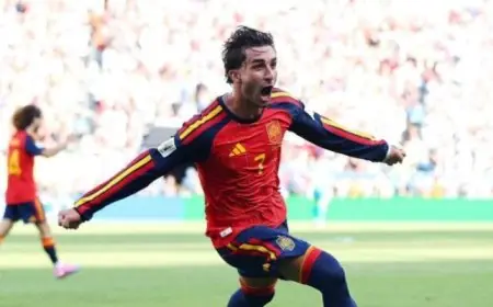 فيران توريس يلفت الأنظار خارج الملعب بعد فوز إسبانيا بكأس العالم