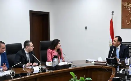 الحكومة تبدأ تنظيم السوق العقارية بتوحيد جهود المطورين تحت مظلة واحدة