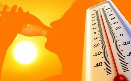 طقس القاهرة اليوم: حرارة شديدة ورطوبة نهارية تصل إلى 38 درجة مما يزيد الشعور بالحرارة في معظم الأنحاء