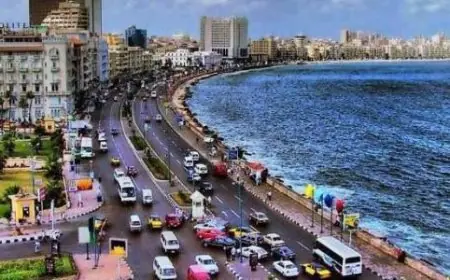 اكتشف أشهر المزارات والفعاليات في الإسكندرية لجذب 100% من المصيفين في عطلة نهاية الأسبوع