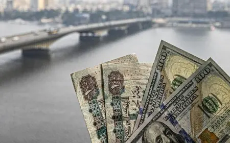 استقرار سعر الدولار في مصر بختام تعاملات الخميس 6 أغسطس 2026 في البنوك
