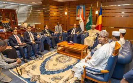 وزير الخارجية يشدد على ضرورة احترام دول الجوار لسيادة السودان وأمنه في محادثات مع نظيره التشادي