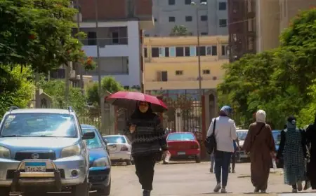 بيان الأرصاد: درجات الحرارة تصل إلى 44 درجة مئوية غدا الجمعة مع ظواهر جوية مهمة