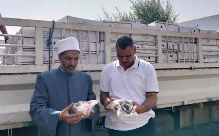 إطلاق حملات مكبرة لإزالة الإشغالات في الأحياء الشرقية والوسطى والمنتزه ثانٍ بالإسكندرية