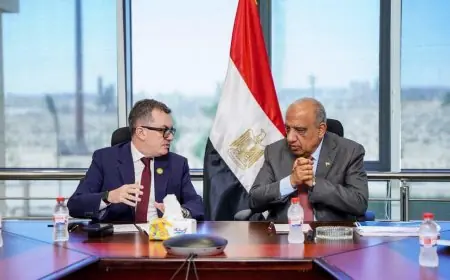 وزير الكهرباء ووزيرة التخطيط يناقشان استراتيجيات الاستثمار العام وتمويل مشاريع الطاقة
