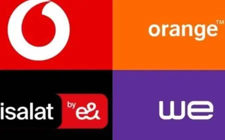 125 مليون خط محمول يكشف عن مفاجأة صادمة لأرقام المواطنين