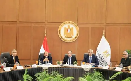 التعليم العالي: اغلاق تسجيل الرغبات بموقع التنسيق للعام 2026 اليوم في السابعة مساءً