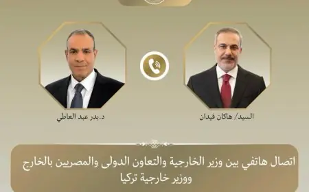 وزير الخارجية يتباحث هاتفيا مع نظيره التركي