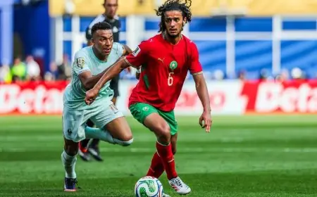 مجلس إدارة الزمالك يعقد اجتماعًا اليوم لبحث ملف شركة الكرة وفرع 6 أكتوبر