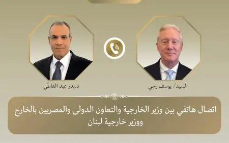مصر تدعو لوقف الاعتداءات الإسرائيلية ضد لبنان لسلام دائم