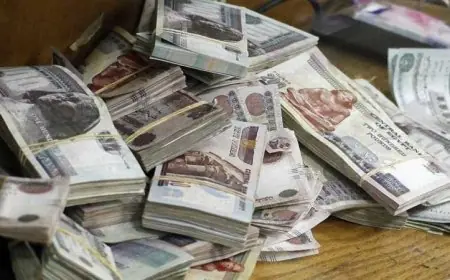 عائد استثماري مذهل يصل إلى 22% مع شهادات الادخار 2026 في البنوك