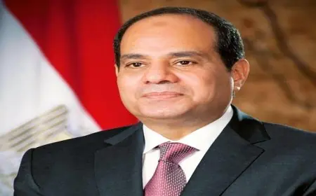 الرئيس السيسي يشرف على تحقيقات حادث طريق الدواويس في الإسماعيلية