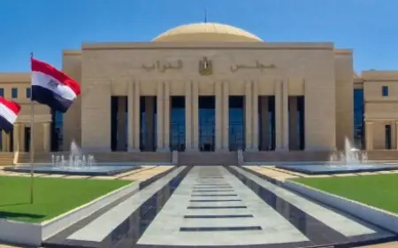 مجلس النواب يستجيب لطلب سناء السعيد بفحص الذمة المالية لعضو برلماني
