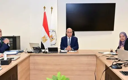 التوأمة الرقمية: استكشاف دورها كأداة متقدمة لمحاكاة المنظومة المائية وتفعيل القرارات الاستباقية في التشغيل والصيانة