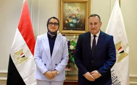 التعليم العالي تناقش انطلاق الدراسة في معهد تكنولوجيا المعلومات بالوادي الجديد