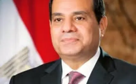 الرئيس السيسي يدشن منصة وطنية تفاعلية تمنح الشباب فرصة لعرض أفكارهم الخلاقة