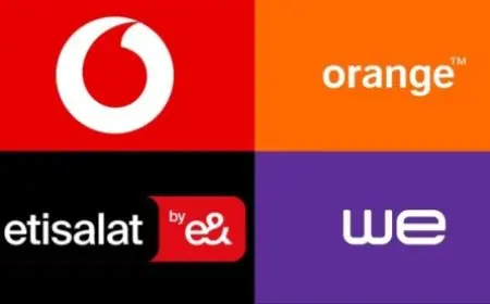 تطبيق أرقامي يكشف عن الخطوط المسجلة باسمك اكتشف نصائح أساسية لحماية بياناتك الشخصية