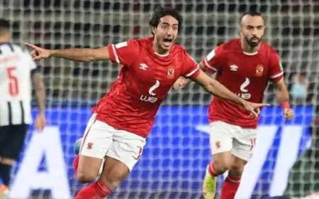 مصدر بالأهلي لـNNI مصر: نقترب من تجديد عقد محمد هاني.. وهناك توجه لإلغاء بند نسبة المشاركة