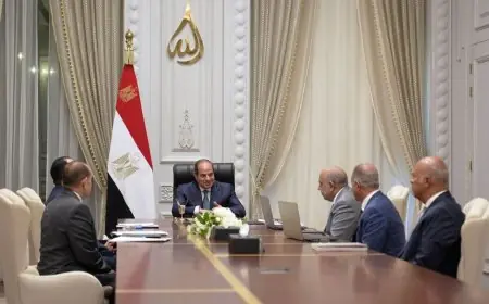 الرئيس السيسي يضع خطة لتعزيز التصنيع المحلي في الرمال السوداء والعناصر الأرضية النادرة