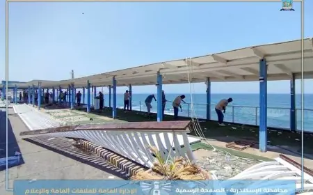 حق المواطنين في رؤية البحر: حملة ضخمة لإزالة المخالفات على كورنيش الإسكندرية
