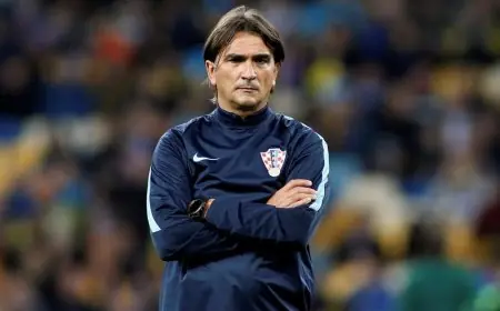 رسمياً.. زلاتكو داليتش يتولى منصب المدير الفني لمنتخب الإمارات