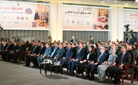 في ذكرى تأسيس صندوق تحيا مصر توزيع نصف مليون قطعة ملابس و50 ألف كرتونة غذائية لدعم الأسر