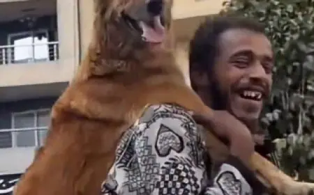 صدمة اتهام صاحب الصورة الشهيرة بكلب على كتفه بالسرقة بعد تقديمه المساعدة