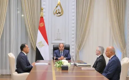 الرئيس السيسي يدعو للإسراع في إنجاز مدينة العدالة بالعاصمة الإدارية الجديدة